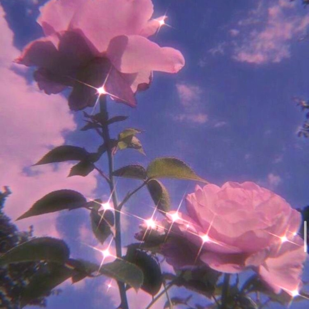 Meet your Posher, Katelyn